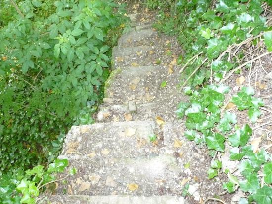 ESCALIER D'ACCES A LA LOIRE.